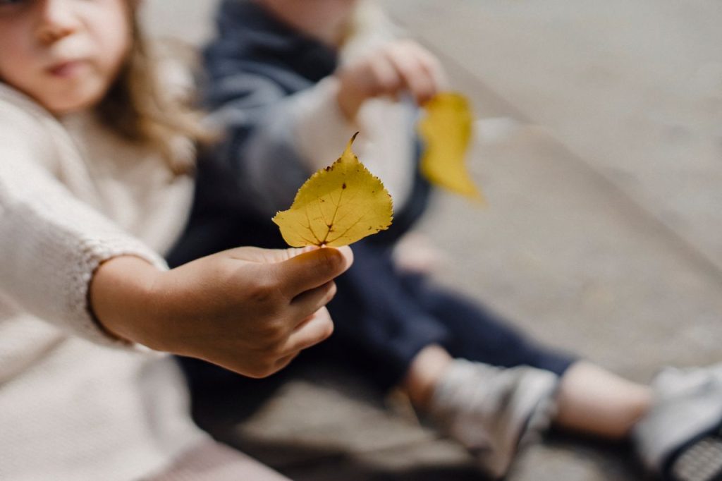 Unrecognizable little children with outstretch arms showing withered yellow leaves while sitting on sidewalk on blurred background on sunny street