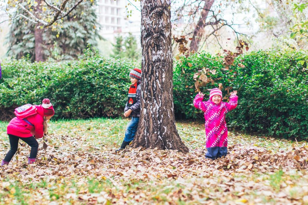 Children having fun playing in fallen leaves at a park during fall.