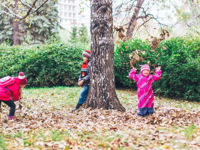 20 Free Autumn Activities for EYFS: Easy Ideas for Parents, Childminders, Nursery & Reception